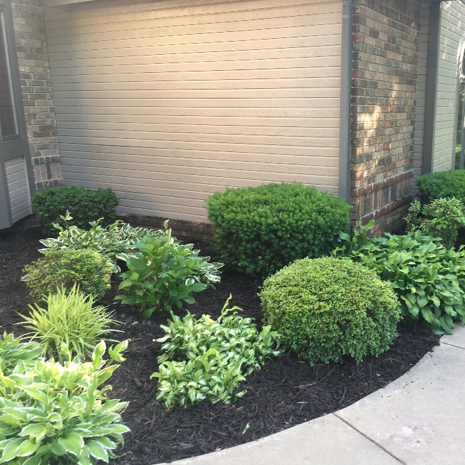 Landscaping Services in Neosho